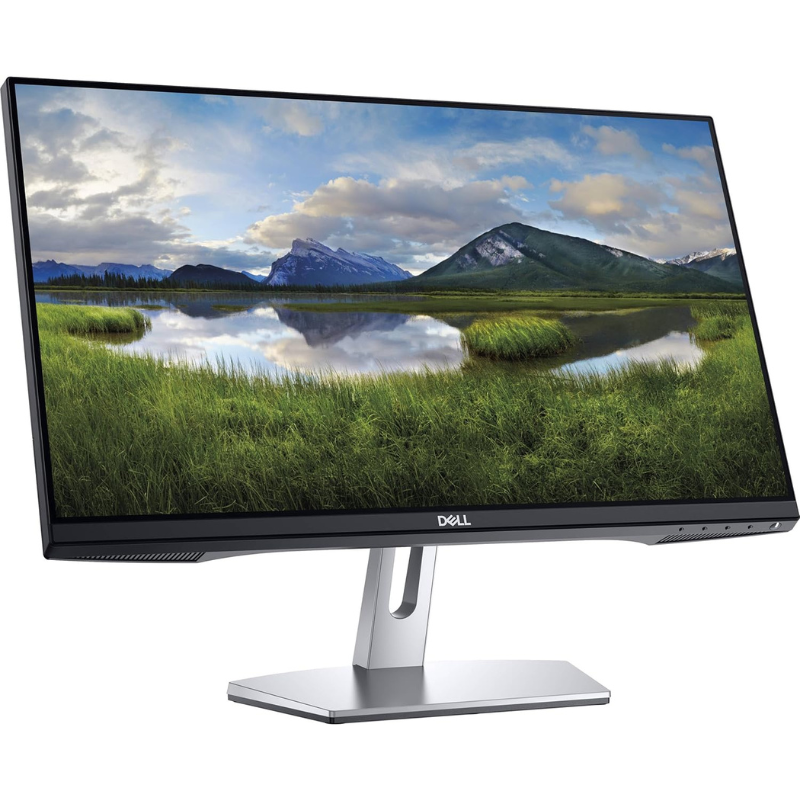 Dell 22-inch Monitor